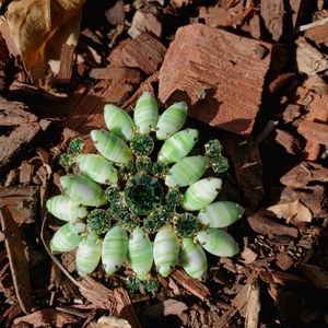 Vintage D&E Julianna Green White Striped Navette Rhinestone Brooch Gold Tone